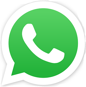 Whatsapp icon